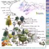 Adaptation de la flore de 1800 à 3000m