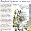 La végétation et l'altitude