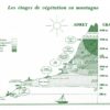 Adaptation de la végétation