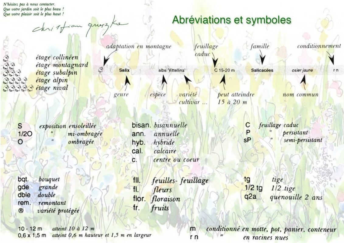 Abréviations et symboles du lexique de botanique